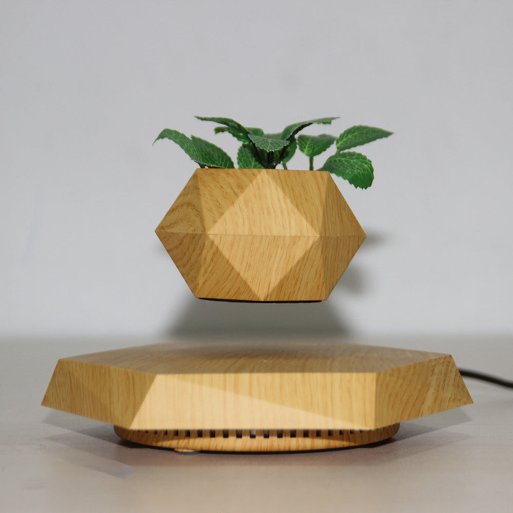 Floating Magnetic Levitating Flower Pot – Air Bonsai Planter for Home & Office Desk Decor | Creative Gift Idea