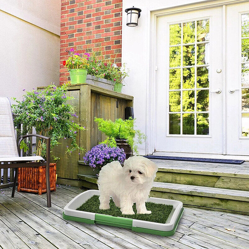 Pet Dog Toilet Mat – Indoor Grass Potty Pad & Training Tray for Puppies and Small Dogs
