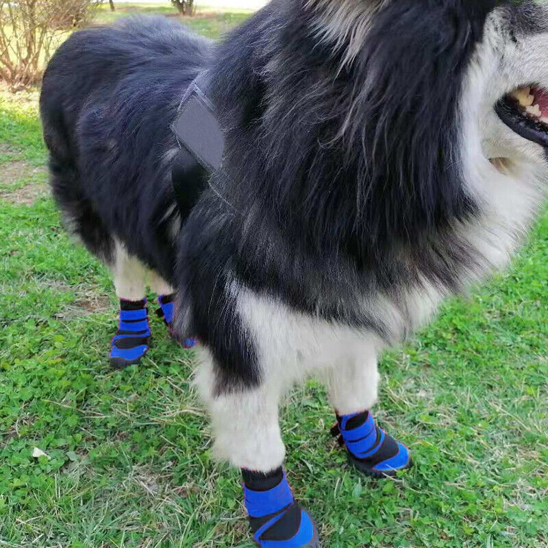 4x Anti-Slip Pet Boots – Waterproof Dog Shoes with Oxford Sole | Protective Puppy Rain Booties & Socks