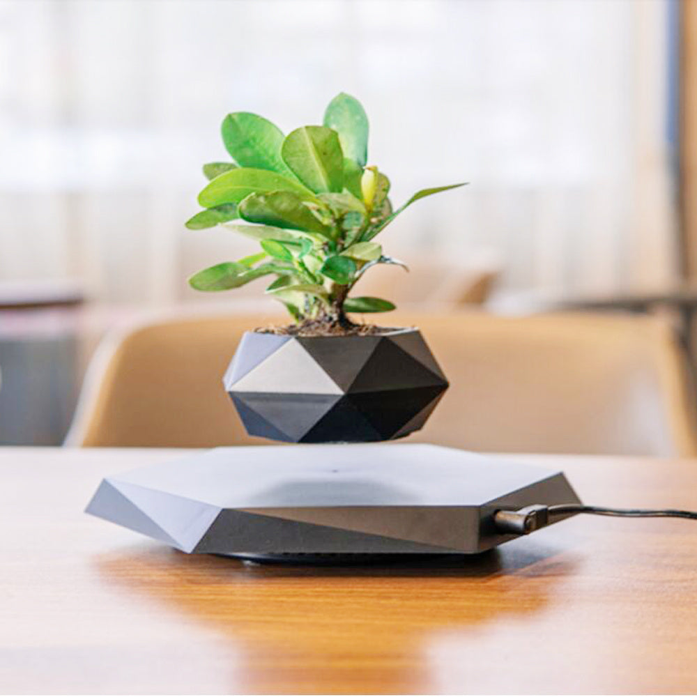 Floating Magnetic Levitating Flower Pot – Air Bonsai Planter for Home & Office Desk Decor | Creative Gift Idea
