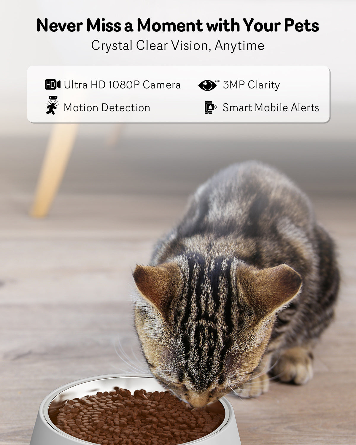 Smart Automatic Cat Feeder with Camera – 1080P HD, Night Vision, 5G WiFi, 2-Way Audio, Remote Feeding