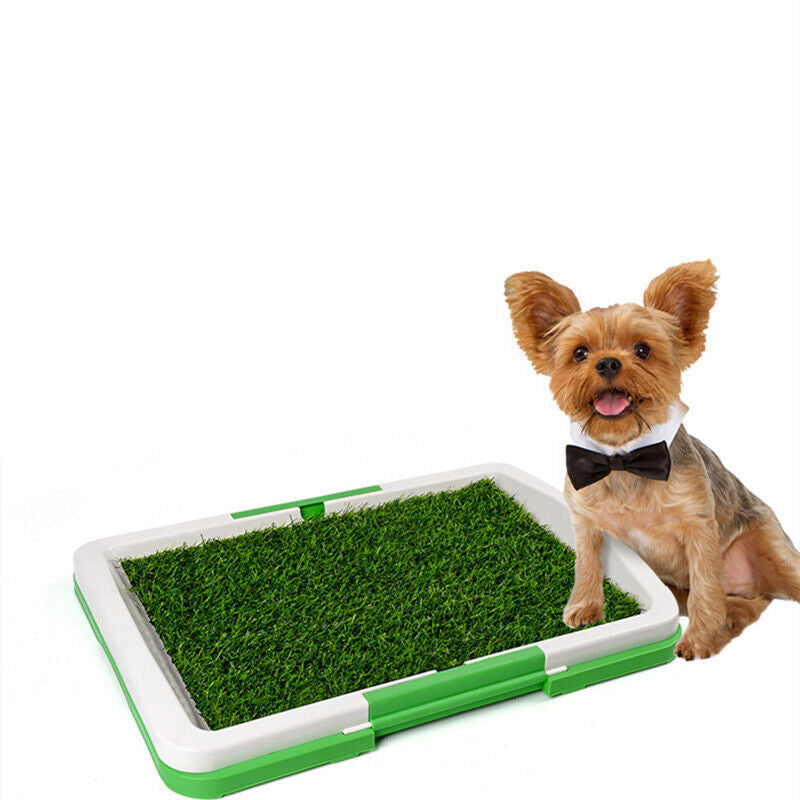 Pet Dog Toilet Mat – Indoor Grass Potty Pad & Training Tray for Puppies and Small Dogs
