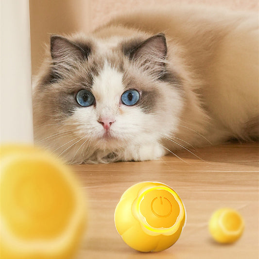 Interactive Pet Smart Rolling Ball Toy designed for cats to combat boredom and promote active play. This bite-resistant toy features automatic rolling, enticing your pet to chase and engage for hours of fun. Perfect for keeping your cat entertained while stimulating their natural hunting instincts. A must-have for playful cats and an ideal solution for pet owners seeking to relieve boredom. Shop for the Interactive Pet Smart Rolling Ball Toy at Everything Amazing Shop for this product.