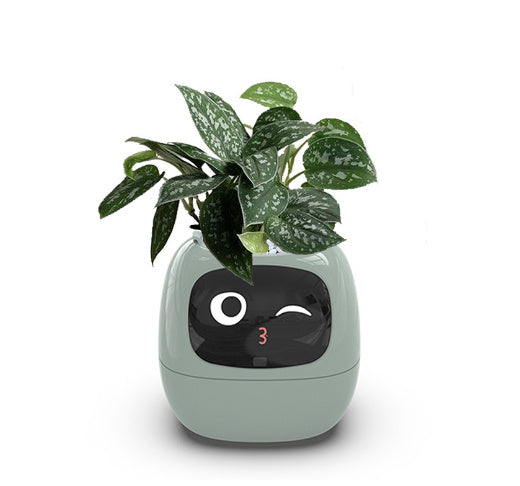 Smart Planter with AI technology, over 49 expressions, multi-dimensional sensors, and real-time water level monitoring for easy and fun plant care.