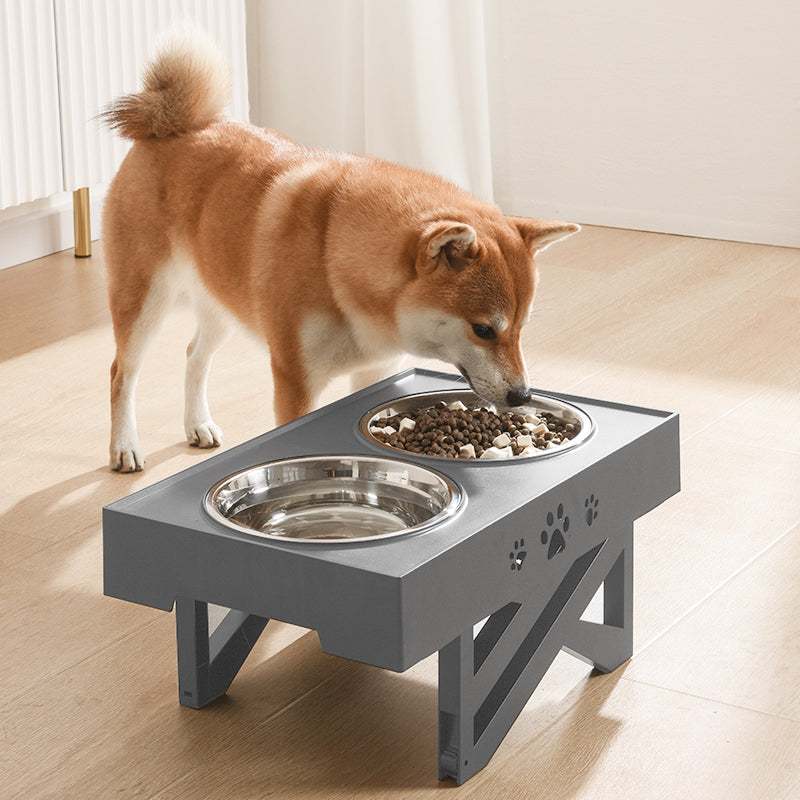 Adjustable Stainless Steel Double Bowl for Pets – Slow Feeder with Height Options