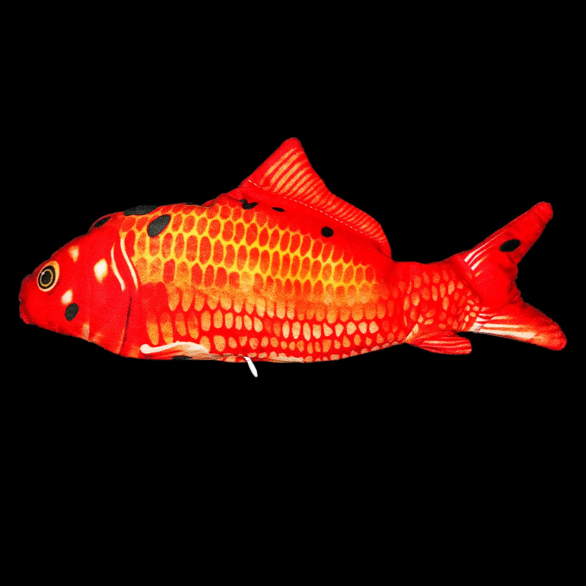 "Dancing Electric Fish Toy - Shop Today!"