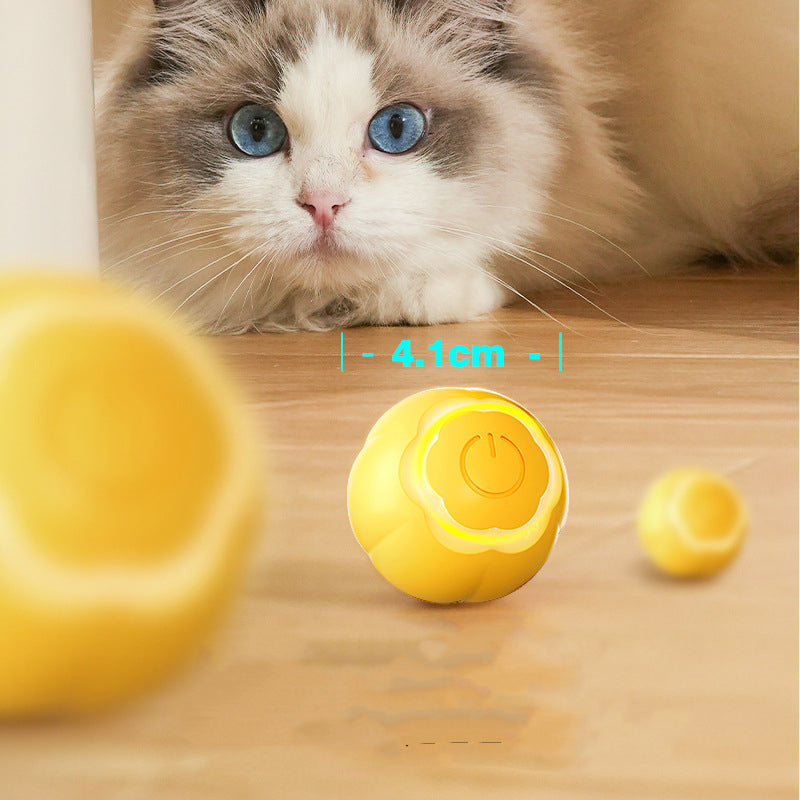 Interactive Pet Smart Rolling Ball Toy – Bite-Resistant Cat Toy for Boredom Relief