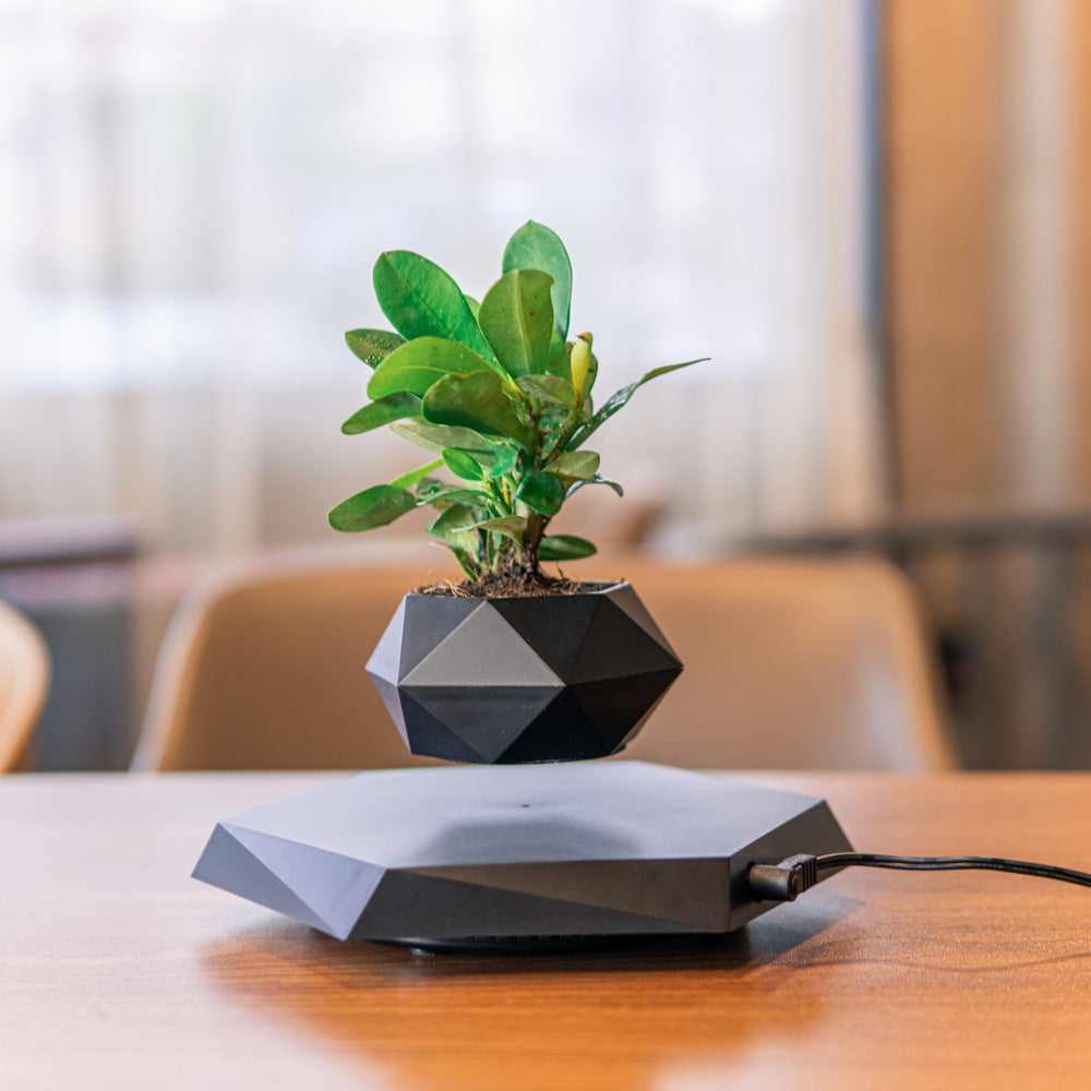 Floating Magnetic Levitating Flower Pot – Air Bonsai Planter for Home & Office Desk Decor | Creative Gift Idea