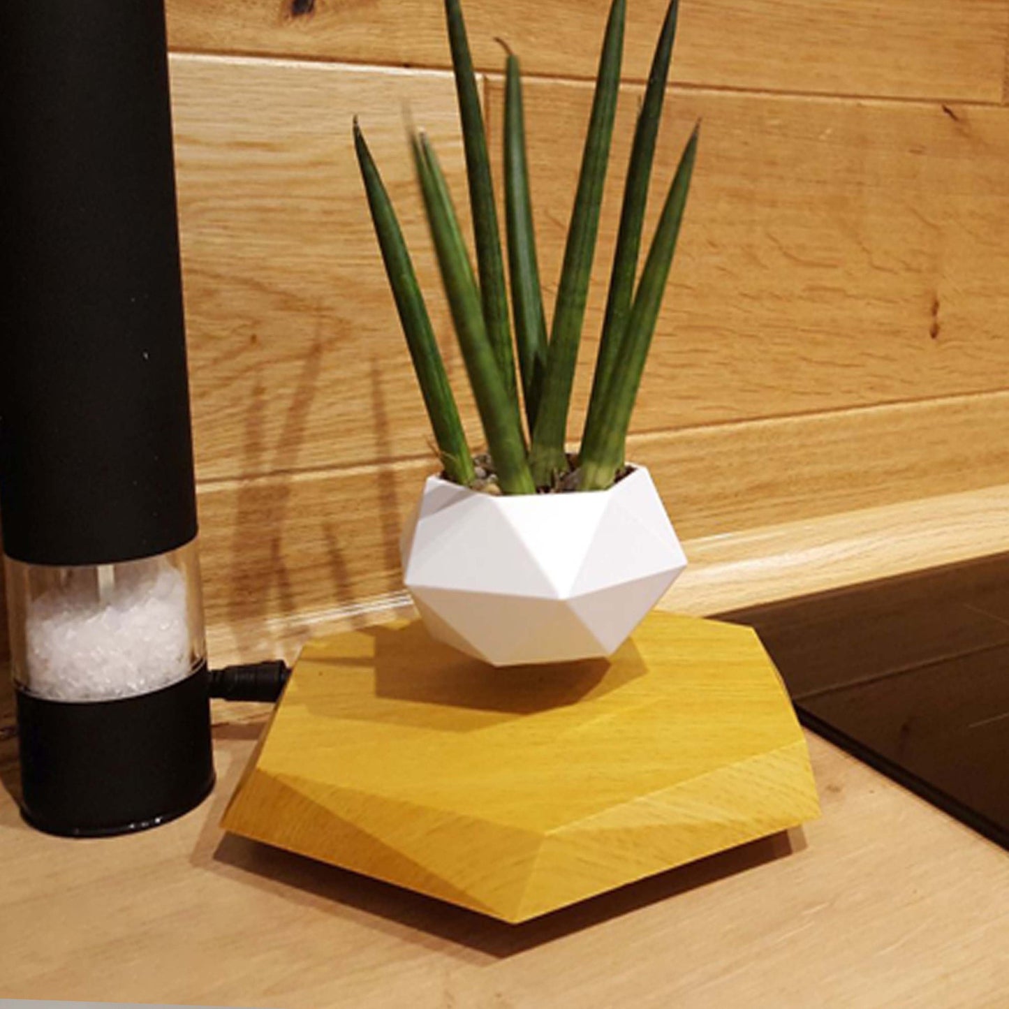Floating Magnetic Levitating Flower Pot – Air Bonsai Planter for Home & Office Desk Decor | Creative Gift Idea