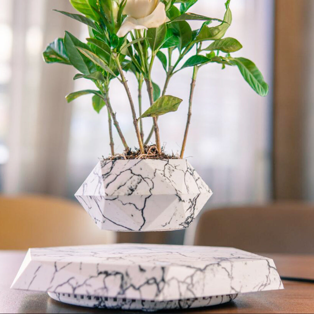 Floating Magnetic Levitating Flower Pot – Air Bonsai Planter for Home & Office Desk Decor | Creative Gift Idea