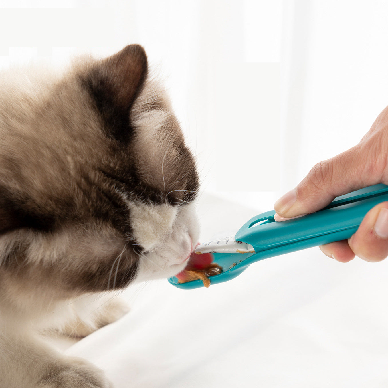 Cat spoon designed for easy feeding, perfect for cats and kittens. Durable and ergonomic, ideal for serving food comfortably.